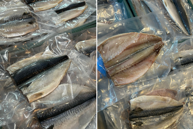 생방송투데이 오늘도달린다 청년사장 수산물로 월매출 4천 윤자네수산 정보