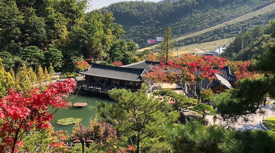 2025 화담숲 모노레일 예매 방법