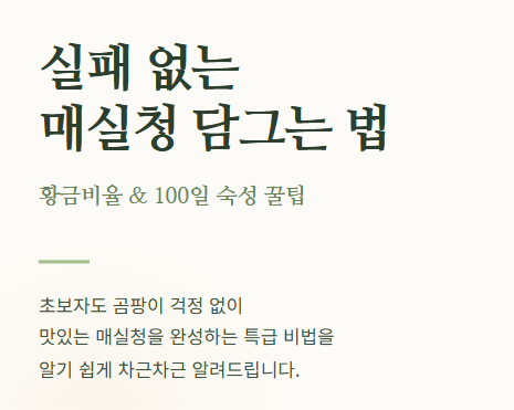 매실청 담그는법