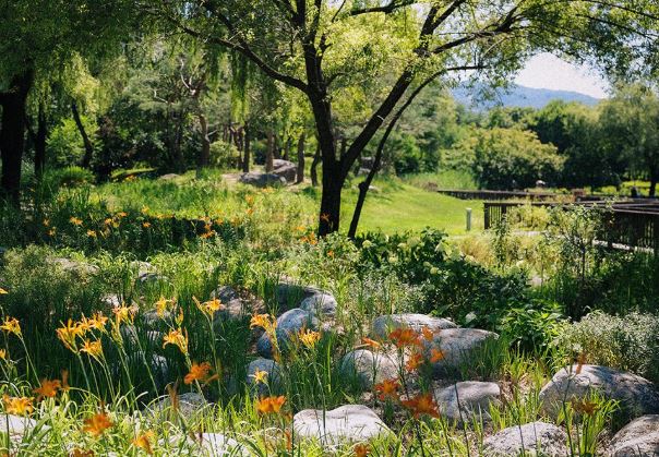 서울 창포원 가는 길 ▶▶ (주차 정보 대중교통 안내)