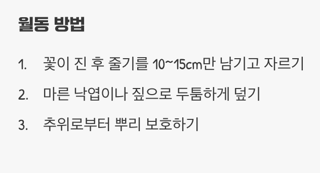 추운 겨울을 이겨내는 지혜, 월동 준비
