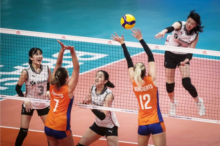 배구 경기 사진