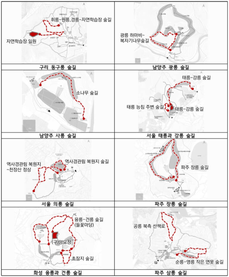 2025 조선왕릉 숲길 8선 개방 총정리!