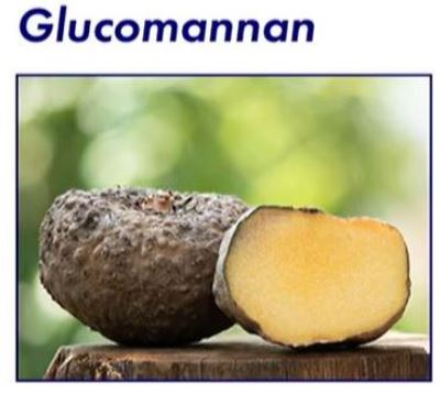 듀오렉신-나비정-효과