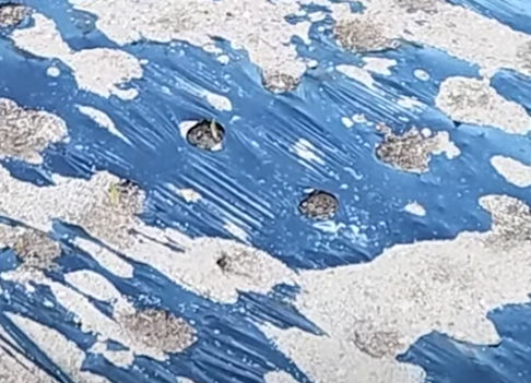 마늘 파종시기와 거름 주는 방법 알아볼까요 1