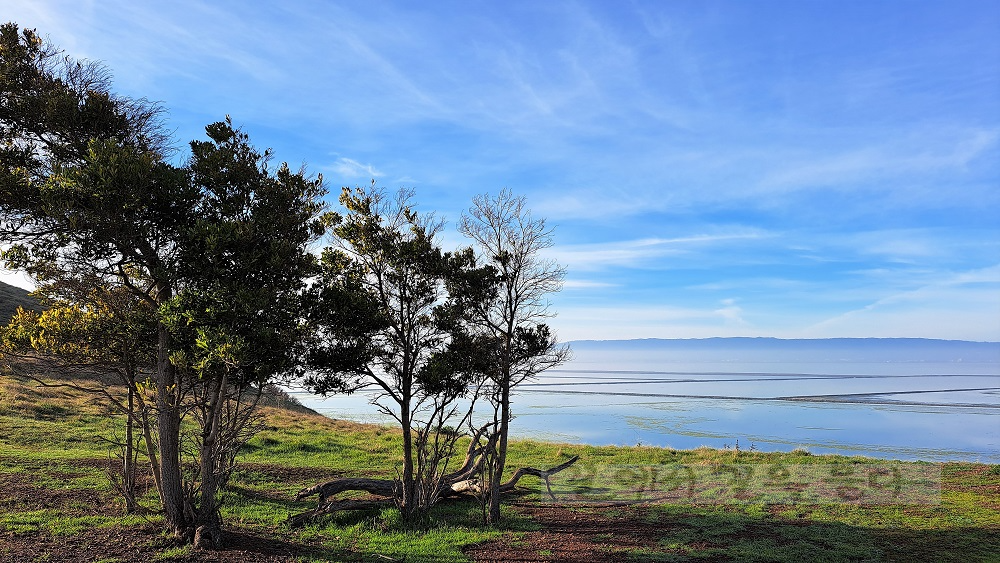 Coyote Hills Regional Park