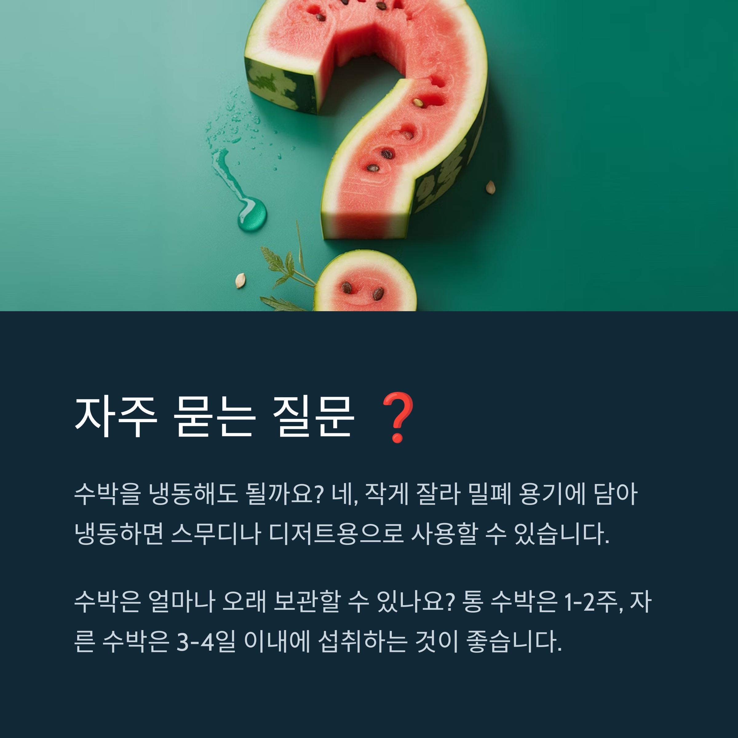 자주 묻는 질문 ❓
