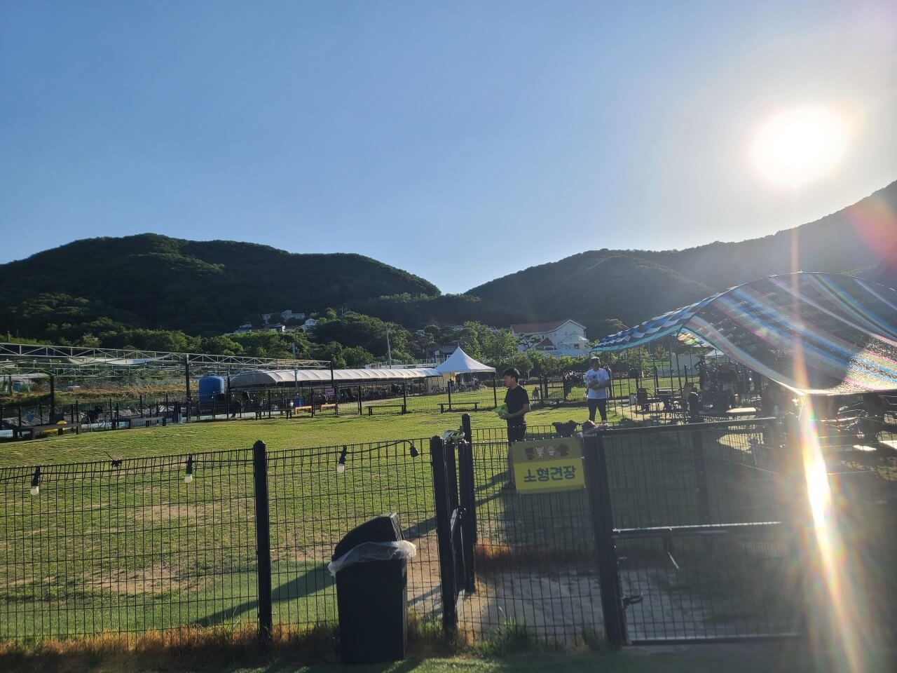 반려견과 함께 즐기는 용인 애견카페 총정리