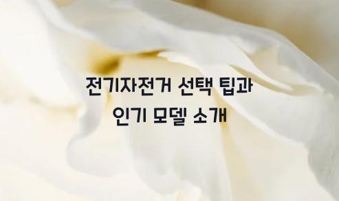 전기자전거