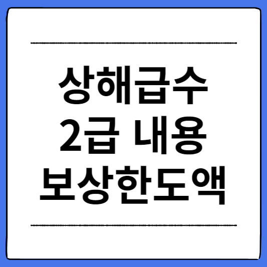 상해급수-2급-내용과-보상한도액