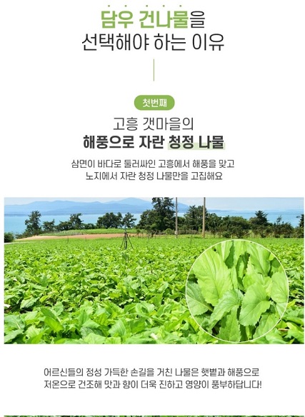 고흥-건나물-담우