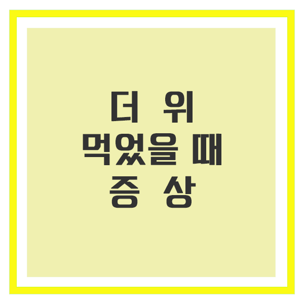 더위 먹었을때 증상
