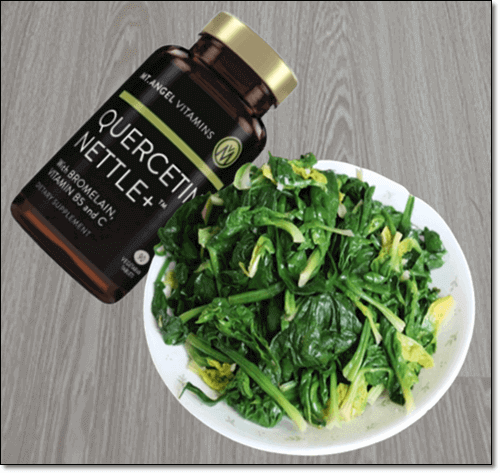 세놀리틱 요법 효과 활성 성분과 주의점