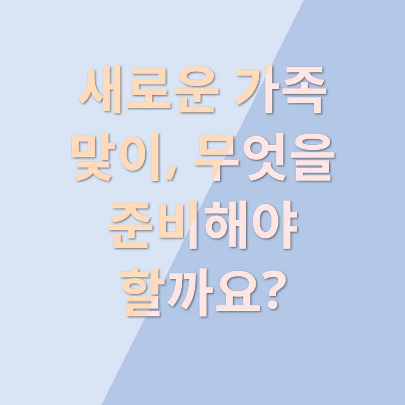 반려묘 입양기_3