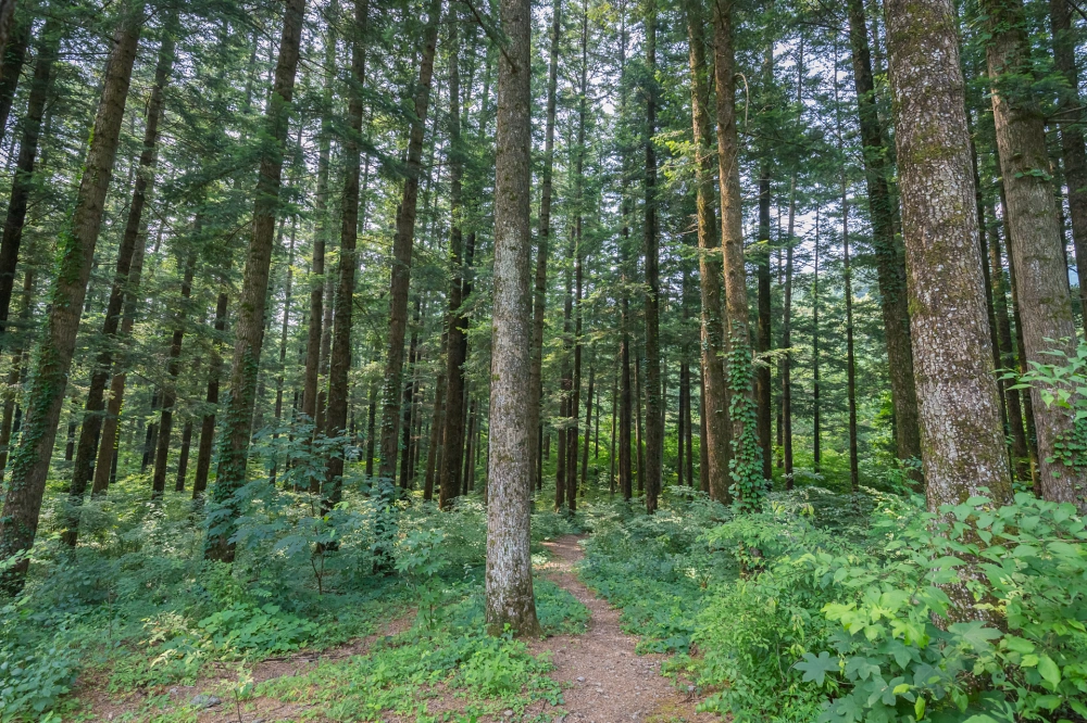 광릉숲길 주요 코스