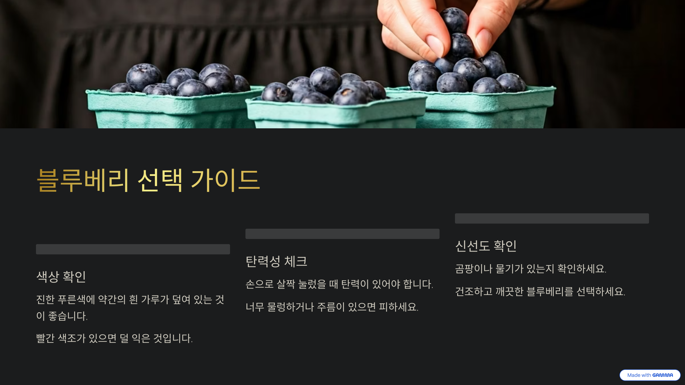 블루베리 효능