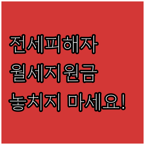 2025 관악구 전세피해자 월세 지원..