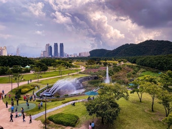 울산 태화강 국가정원 주차장 요금 팁 ❘ 2026 최신