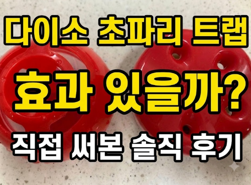 다이소 초파리 트랩 효과 있을까? 직접 써본 솔직 후기