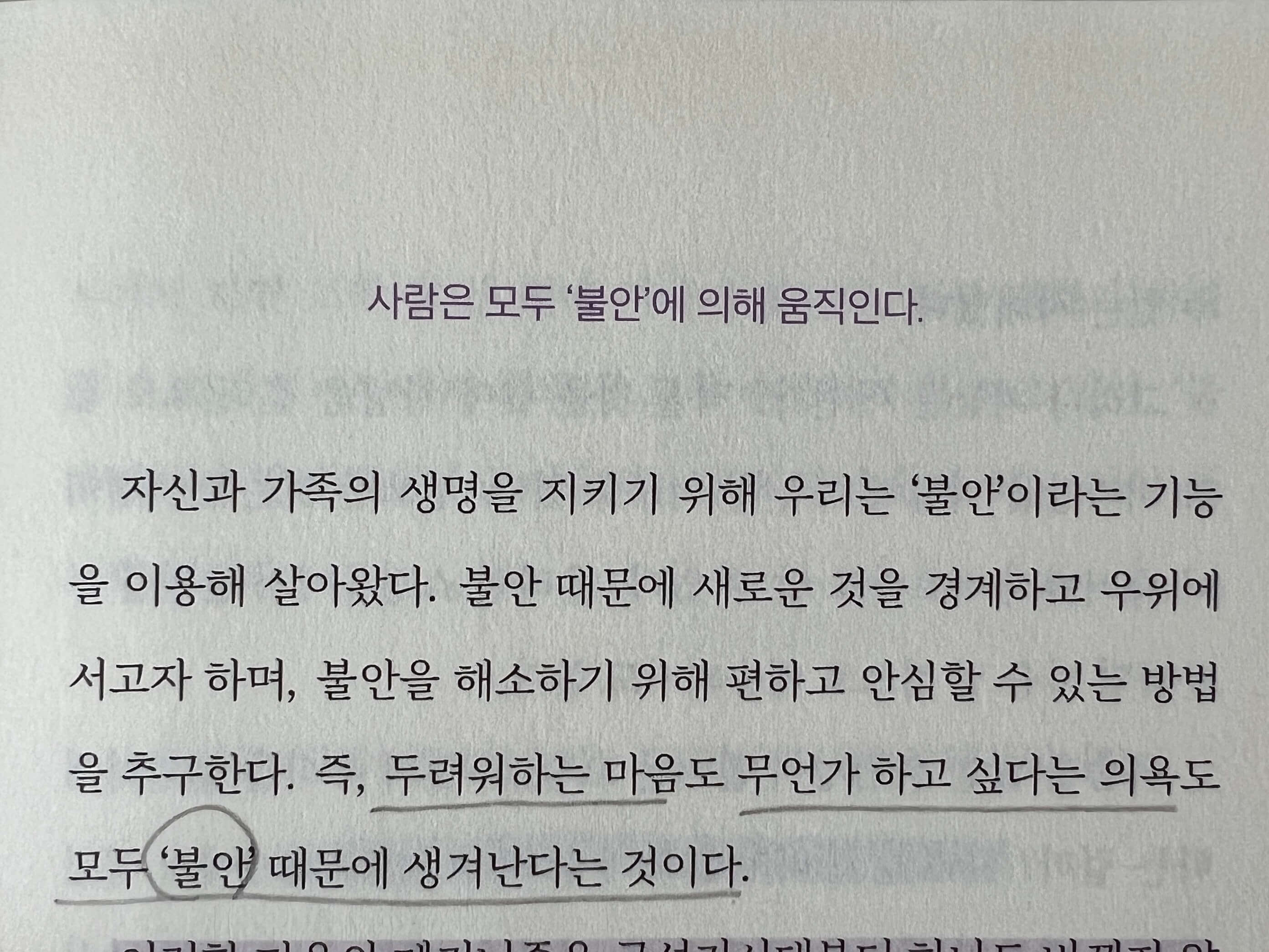 불안에 대해 인상깊었던 문장 책 사진