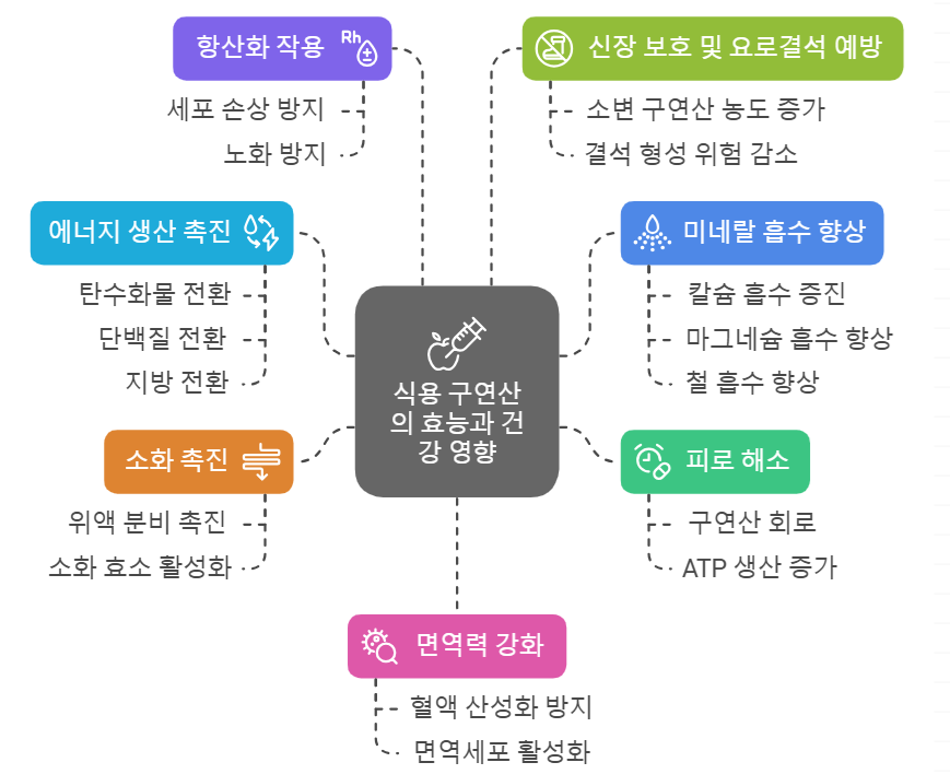 식용 구연산 효능