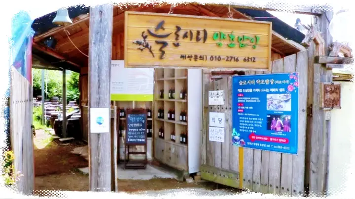 생방송오늘저녁 [밥이 아닌 보약! 깻잎부각 천연 발효 약초 장아찌 약초 밥상 전남 담양 맛집]