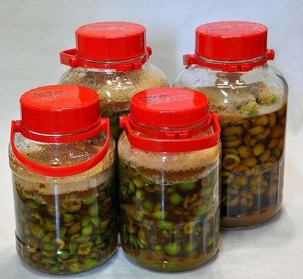 봄제철 과일 종류와 효능 BEST5