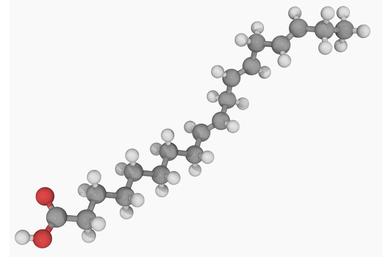 알파리포산 구조