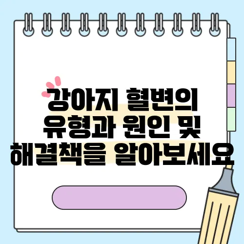 강아지 혈변의 유형과 원인 및 해결책을 알아보세요
