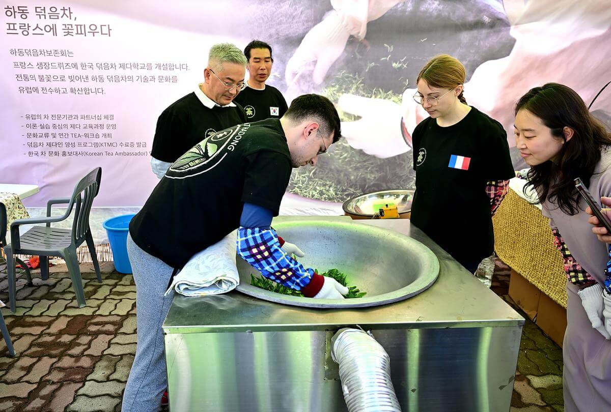 하동야생차문화축제
