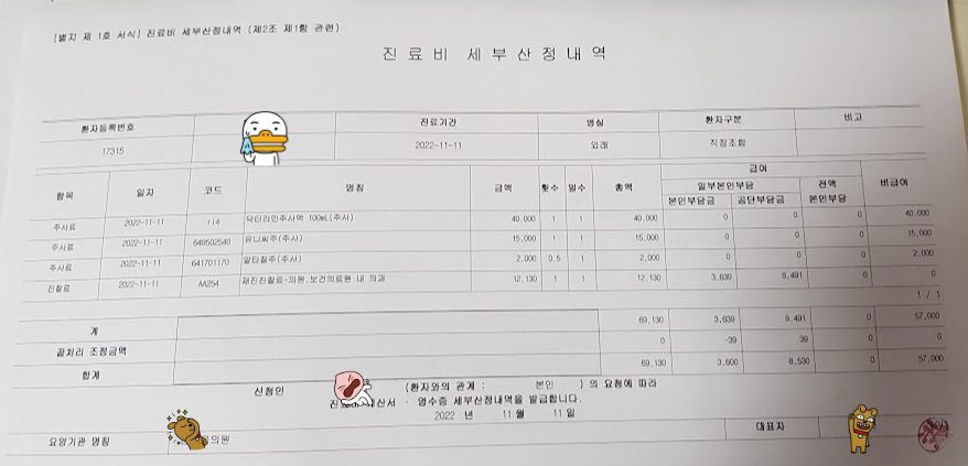 닥터라민 진료비내역