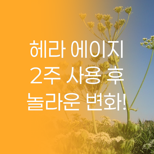 헤라 에이지 어웨이 에스테틱 리얼 후