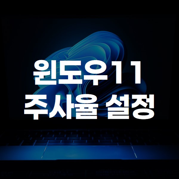 모니터 주사율 설정 썸네일
