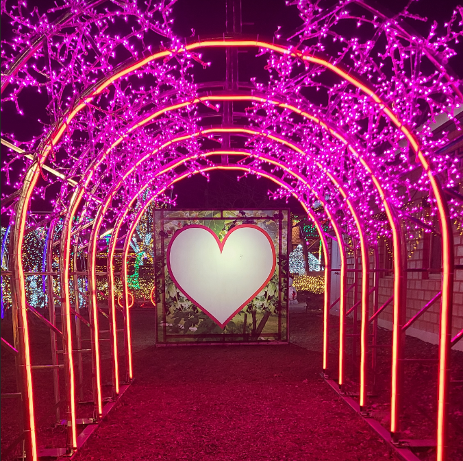 고니골 빛축제2