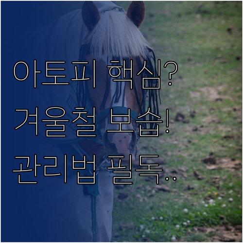 아토피 피부염 환자를 위한 겨울철 보..