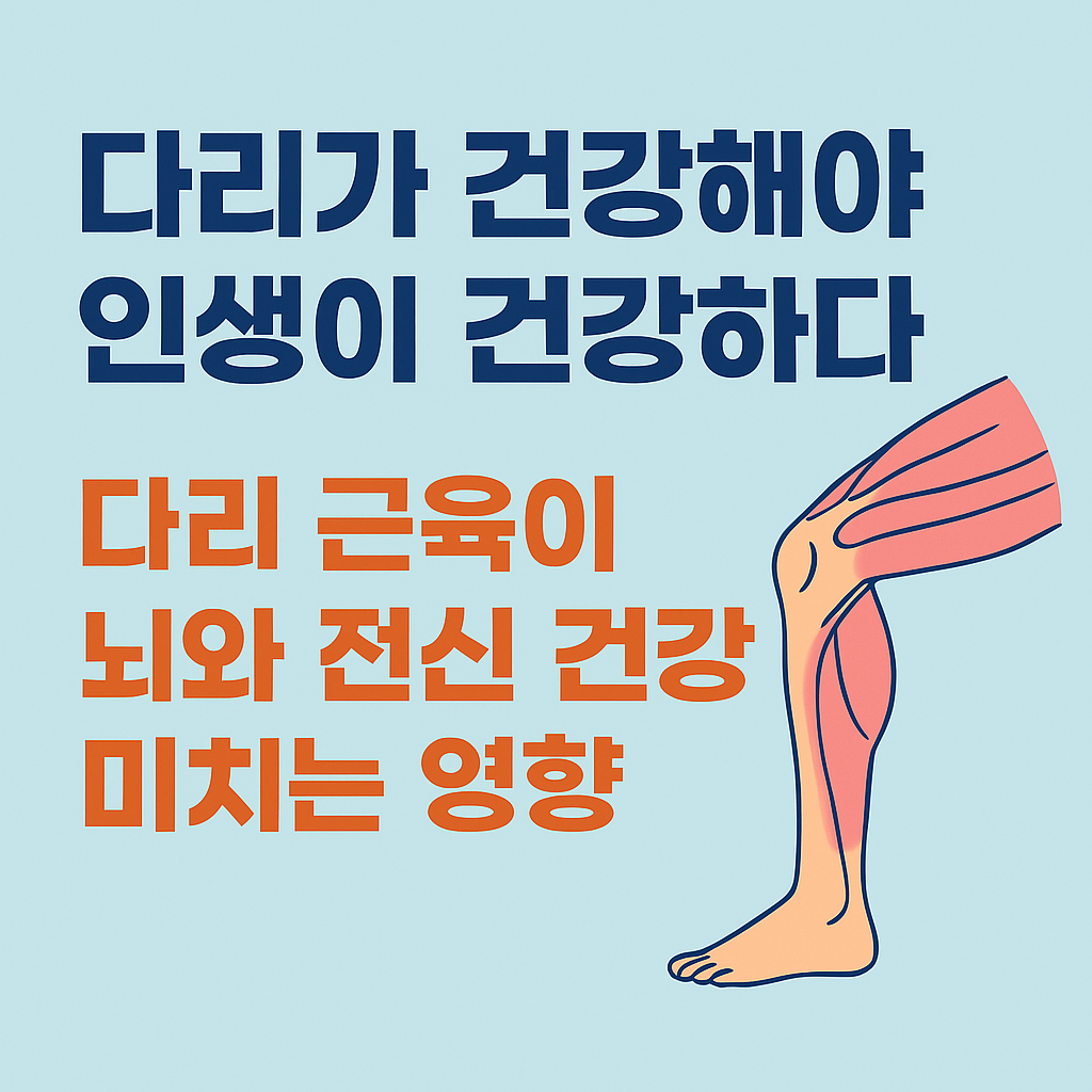 다리건강, 다리근육