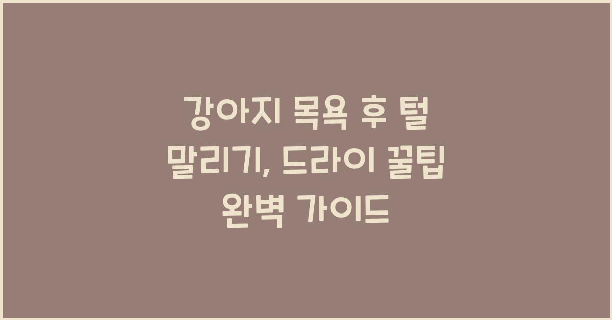 강아지 목욕 후 털 말리기: 드라이 꿀팁