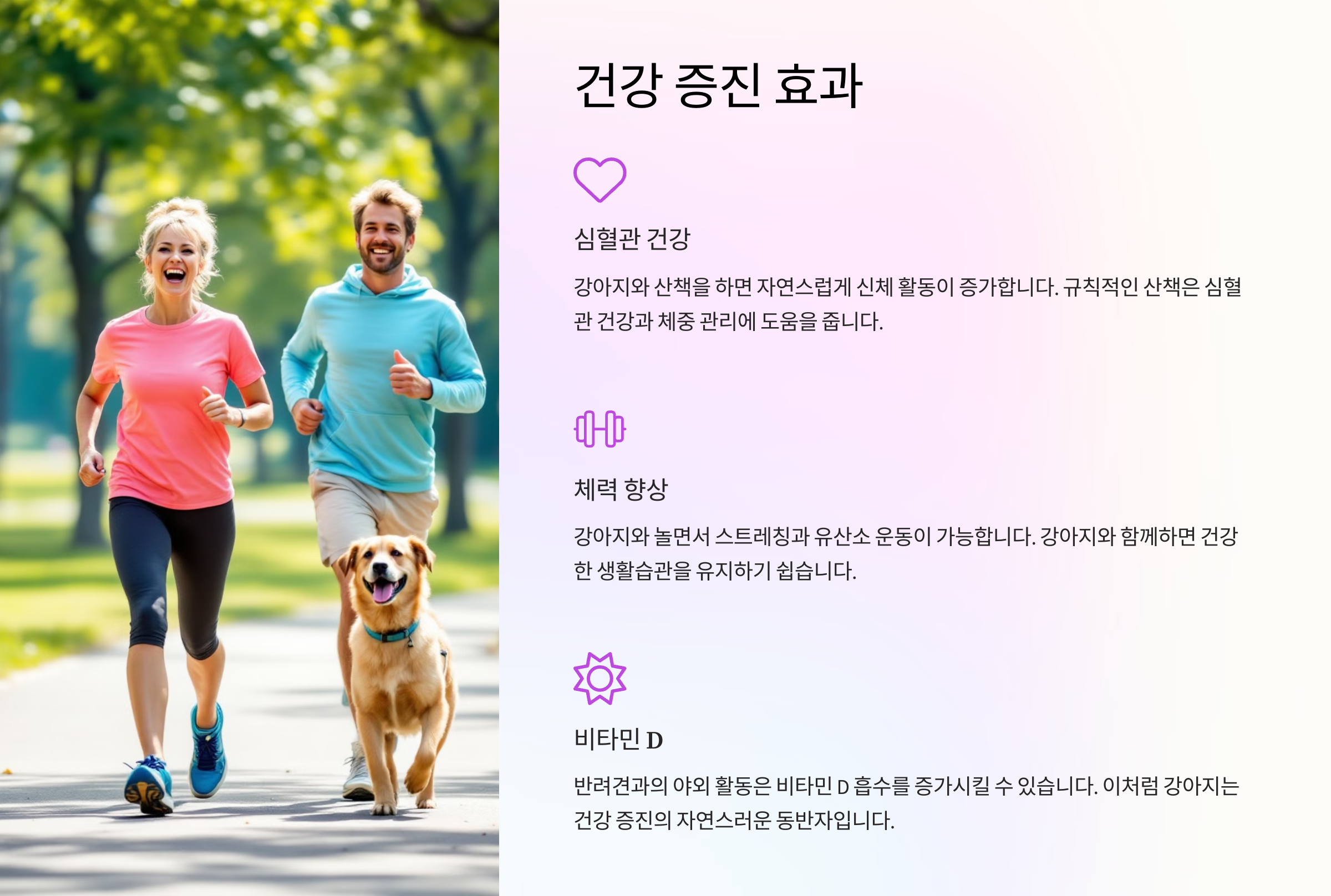 건강 증진 효과