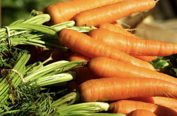 호르몬 불균형이 건강에 미치는 영향과 조절 방법