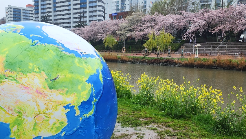 온천천 벚꽃축제