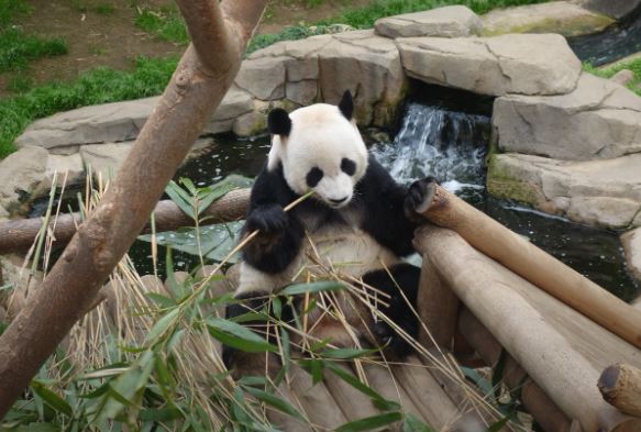 2024년 수험생 수능 할인 혜택 베스트 5 (롯데월드&amp;#44; 에버랜드&amp;#44; 영화&amp;#44; 항공권 등)