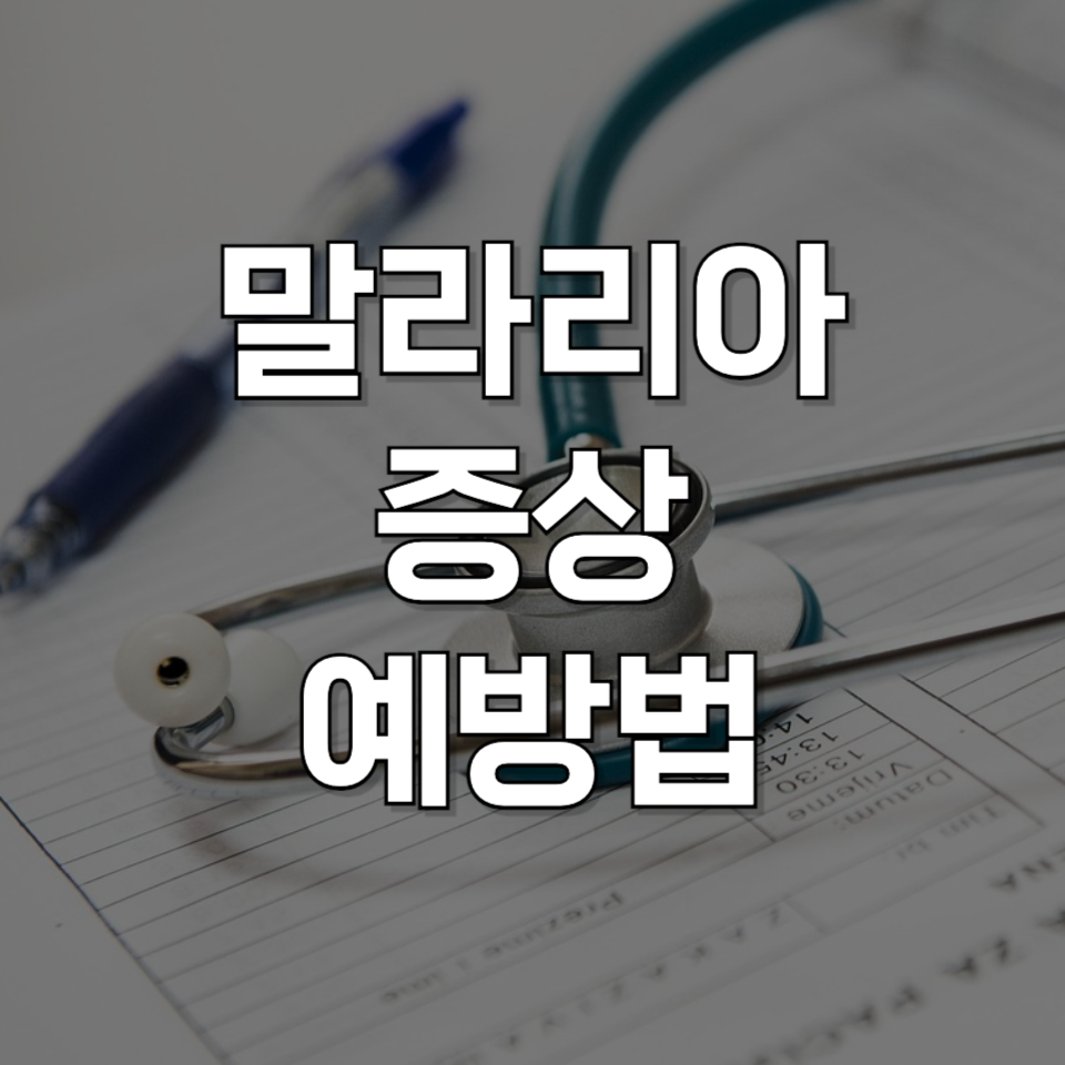 해외여행 전 필독! 말라리아 증상과 예방법 완벽 가이드