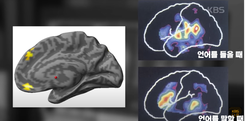 뇌의 절차기억을 통한 언어 학습