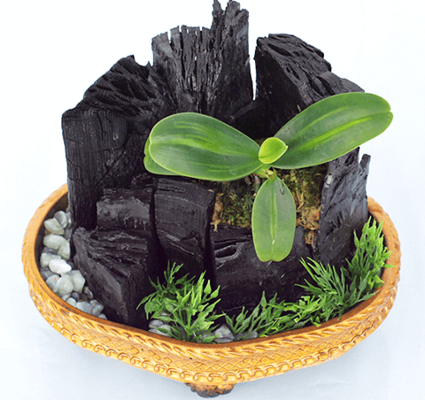 장마철-집안습기-제거방법