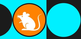 RATS코인