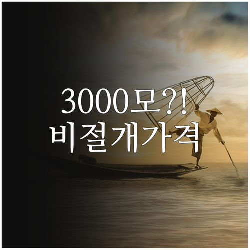 비절개 모발이식 3000모 가격 총정..