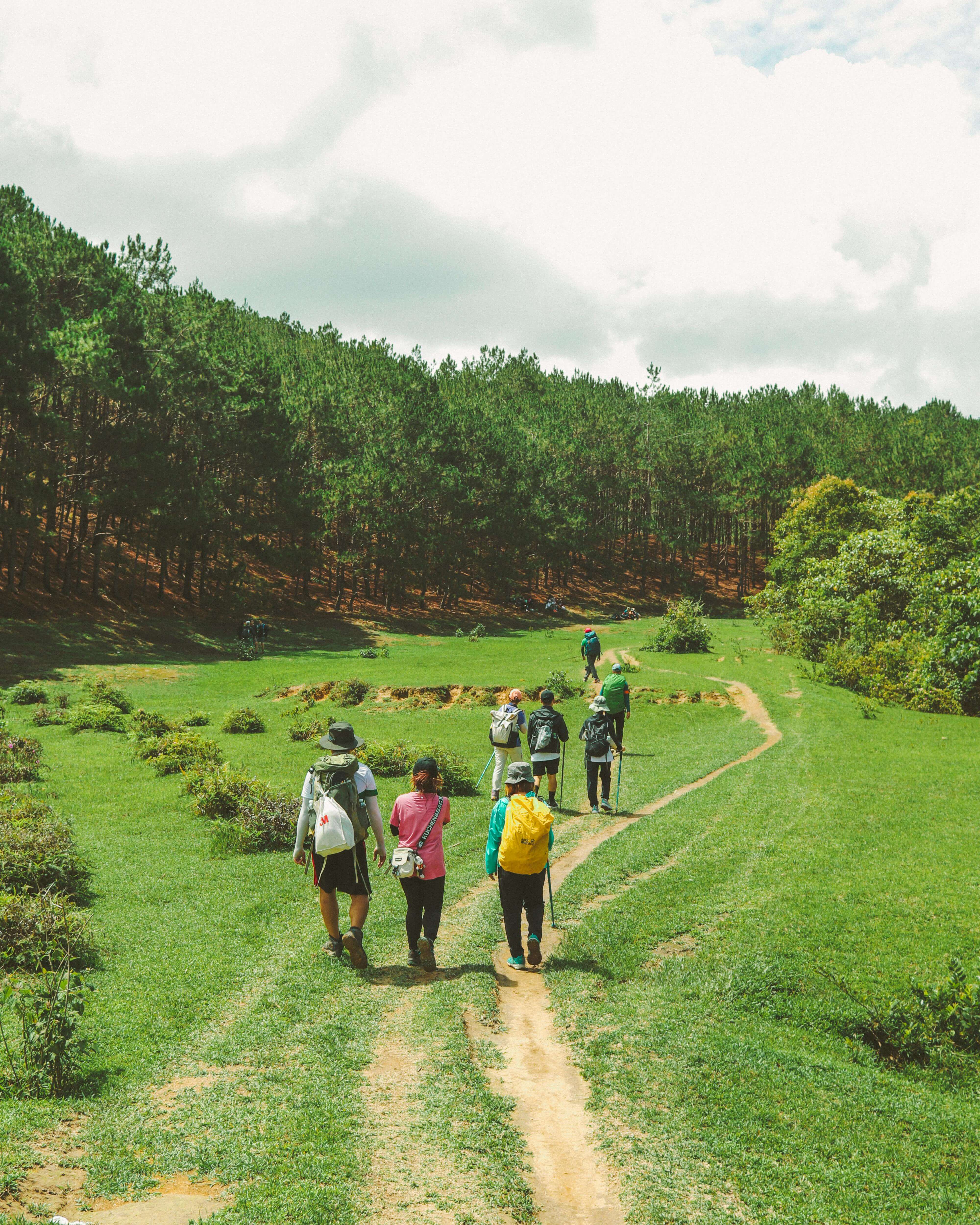 국립두타산자연휴양림 