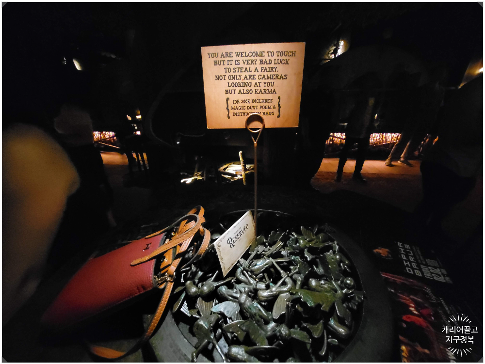 The Iron Fairies in Bali