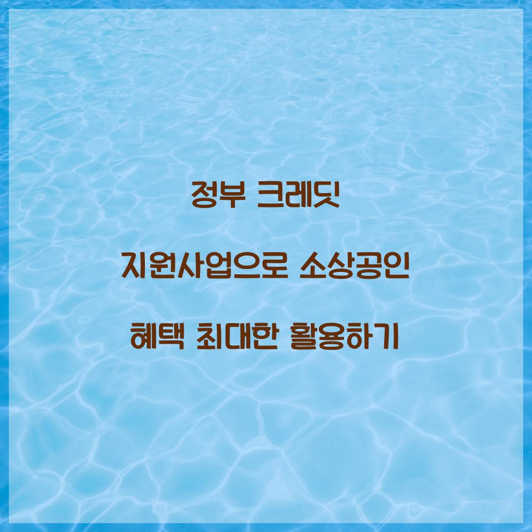 정부 크레딧 지원사업