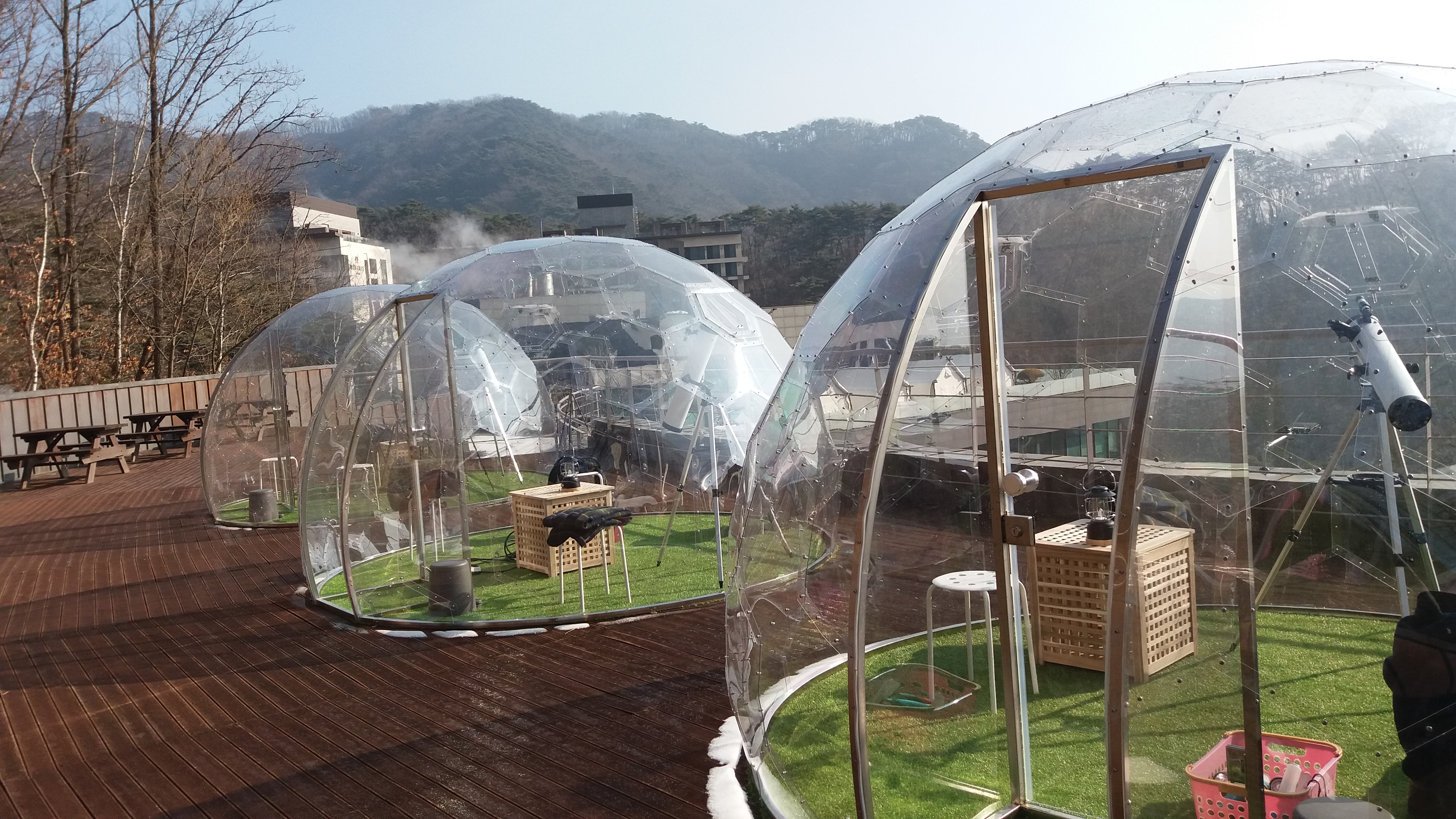 ์ ์ฒ ๋ฆฌ์๋ฆฌ์กฐํธ